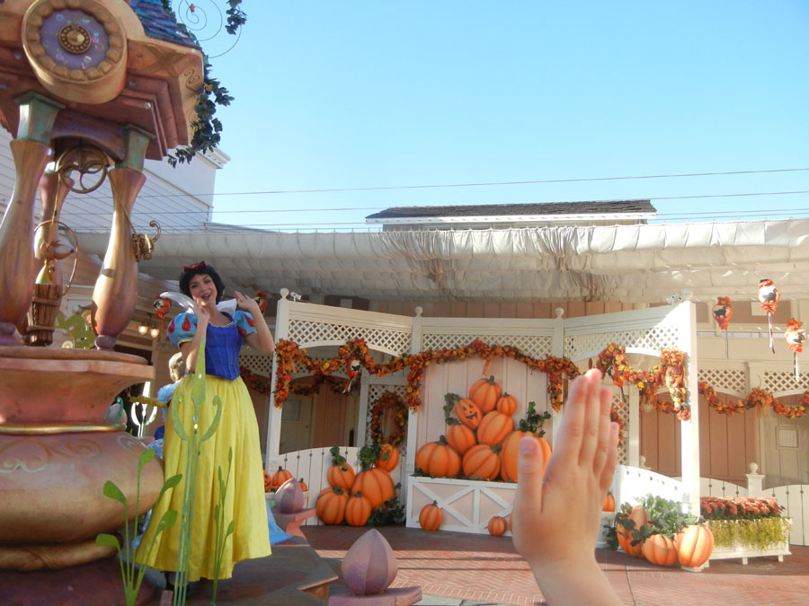 Disneyland Parade in the Day
